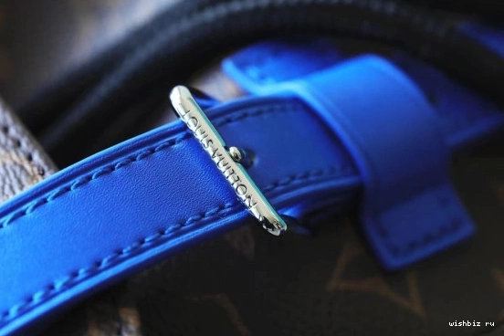 WIS LOUIS VUITTON CHRISTOPHER MM 1225